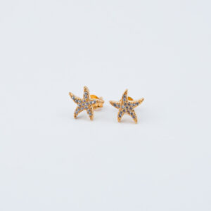 ORECCHINI A STELLA CON ZIRCONIA